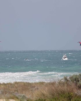 triggs 20kn gusty sw