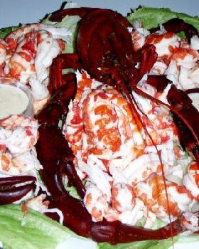 Feed of Marron