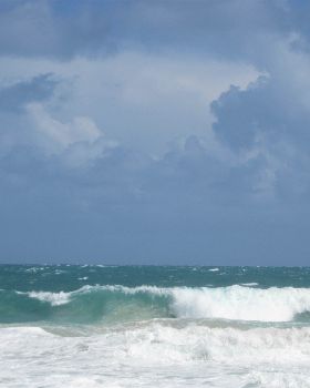 Pretty Windy today