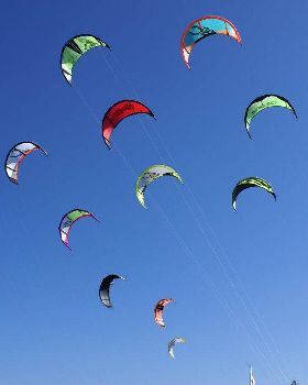 Sydney kite race