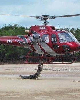 croc jump