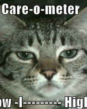 care o meter