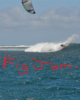 figjam 1
