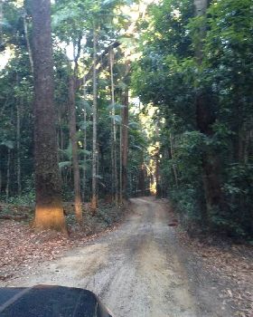 freshwater track