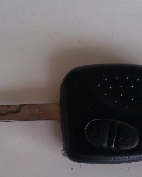 IMAG0454-1