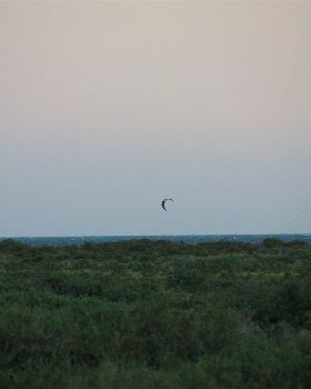 Kiteboarding