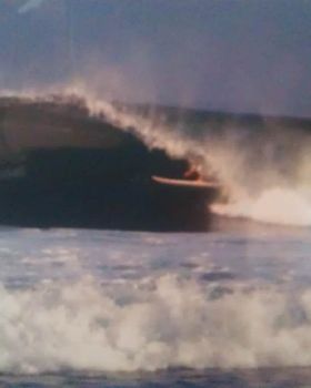 Shacked