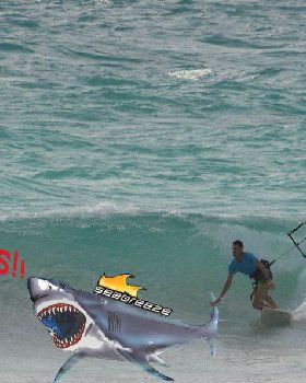 sharksurfing fkn