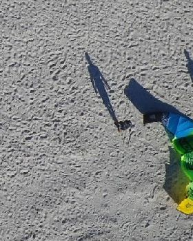shadows