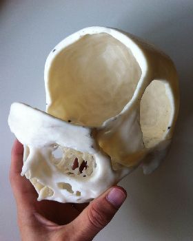 skull4