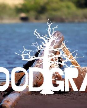 woodgrain