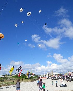 Adelaide Kite Festival 2012