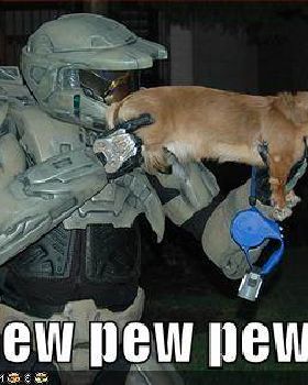 funny-dogs-guns-photo2