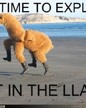 funny-captions-no-time-to-explain-get-in-the-llama