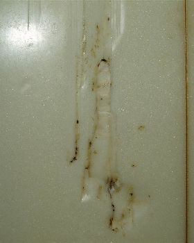 P1010022