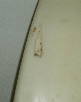 P1010023