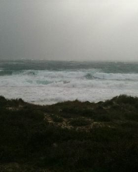 Cottesloe Wind 018