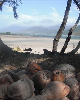 Cooktown 2012 111