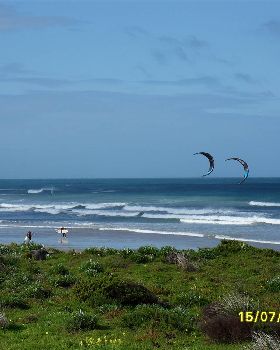 SDC10618