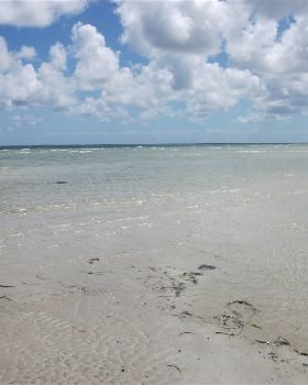Moonta bay