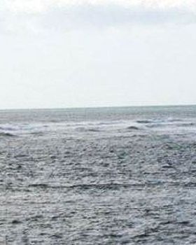orca kiter