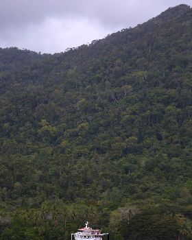 PNG kite trip
