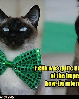 bow tie