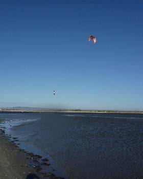 P1000338