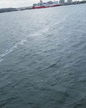 Kitesurfing tour Hampton to Port Melbourne