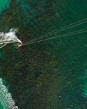 Pics of a kite from a Kite