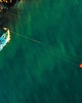 Pics of a kite from a Kite