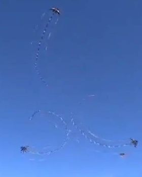 Kites