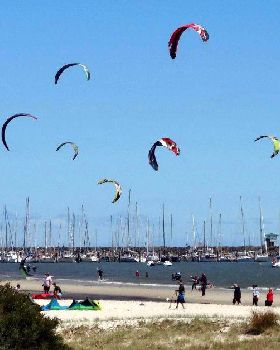 vic kite