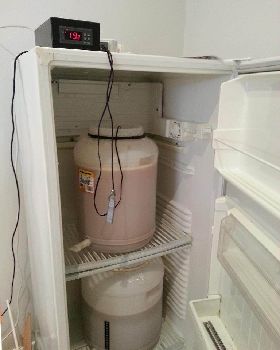 beer