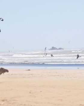 Essaouira locals