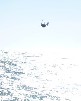 P1080469