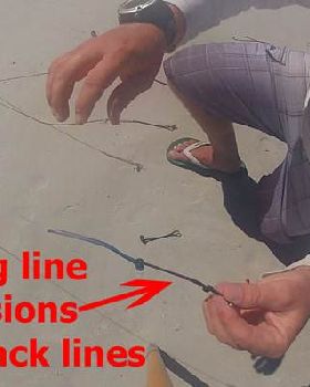 line extensions