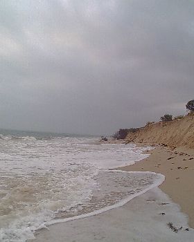 Pinnas Sept 1 2013