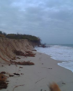 Pinnas Sept 1 2013
