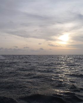 Gelebara Kite Camp