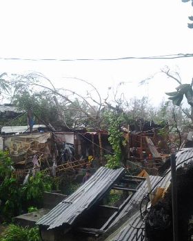 Haiyan 10