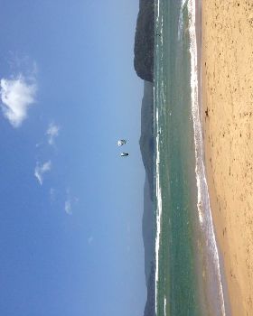 Kiting Umina