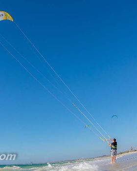 Kites