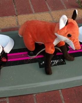 What Does The Fox Say