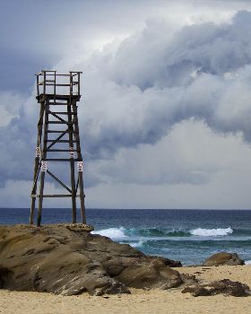 Redhead Storms