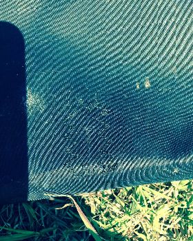 My 10M Edge small tear repair