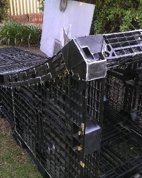 obstacles!