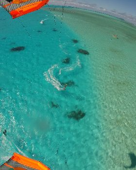 One Foot - Honeymoon islands DW