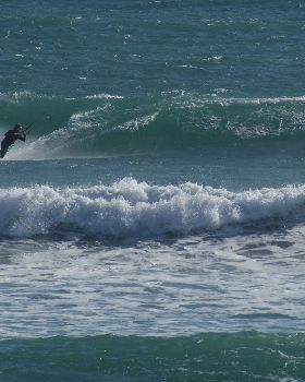 Sweet session steve you were rippen it