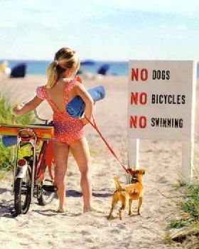 no anything